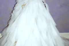 SONY DSC